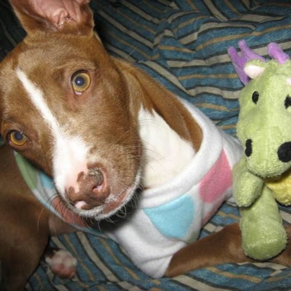 Meet your Posher, April